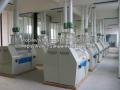 Wheat Flour Processing Machine Line
