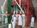 Maize Corn Flour Processing Machine Line
