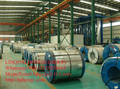 Roof Steel/Prepainted Galvalume Steel Coils Manufacturer
