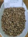 Premium Vietnamese Robusta Fully Washed Green Beans Screen 16