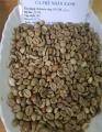Premium Vietnamese Robusta Fully Washed Green Beans Screen 18
