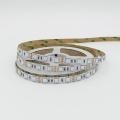 RGB LED Strip Light 10mm 12V 24V SMD 5050 RGB Flexible LED Strip for Home Decoration