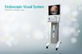 MedVision Halogen (Endoscopic Visual System)