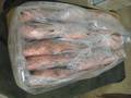 Reef Cod Fish