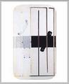 Anti-Riot Electronic Shield