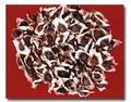 Moringa Seed