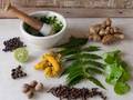 All Kind of Herbal Extract and Herbal Spices
