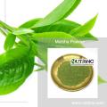 Matcha Powder