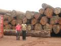 Azobe Timber
