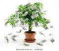 Business and Project Loans/Financing Available!