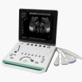 Portable Ultrasound System / for Multipurpose Ultrasound Imaging / B/W / Built-in Console DP-50