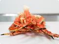Crab, Fresh Frozen and Live Mud Crabs Red King Crabs Soft Shell Crabs , Blue Crab