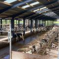 Design High Quality Light Steel Structure Workshop Building Steel Structure Cow House