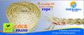 Rope - PP Rope (8 Strands) 18.0 MM TO 100.0 MM