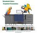 Daily Problem Summary of Digital Printer