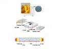Light Guide Plate Film