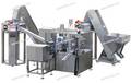 Syringe Assembly Machine