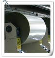100micro Polyester Films