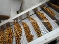 Fruit Processing Line(GFM-LE)