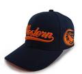 Base Ball Cap