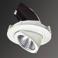 LED Downlight for Shop and Hotel