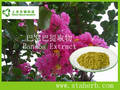 Corosolic ACID,Banaba Leaf Extract 1-98%  Natural Extract