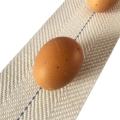 Poultry Equipment Egg Collection System 100 Mm Belt for Chicken Battery Layer Cage