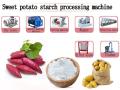 Potato Starch Processing Machine in  the Philippines