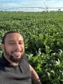 GMO Soybeans