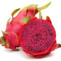 Vietnam Red Dragon Fruit for US, EU, ASIA Market and Many Other Markets