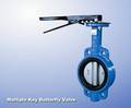 Multiple Key Wafer Butterfly Valve