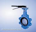 Multiple Key Lug Butterfly Valve