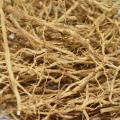 Vetiver Oil Java Rectified (VT-002)