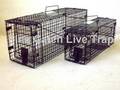 Foldable Cat Raccoon Rabbit Opossum Trap