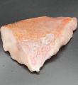 Red Snapper Fish Fillets FROZEN (Whole Snapper Fish)