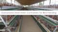 Chicken Layer Cage System