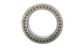 Double-Row Cylindrical Roller Bearings