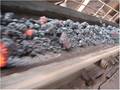 High Temperature Resistant/Fire Resistant/ Burning Resistant Conveyor Belt