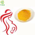 USP39 Bulk Powder Food Additives Folic Acid