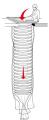 Spring Escape Chute(For Indoor)