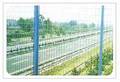 Wire Mesh Fencing