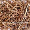 Madder Root