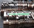 Golden Spring Steel Strip