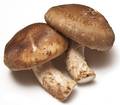 IQF Frozen Shiitake Mushrooms