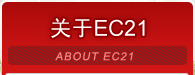 关于 EC21