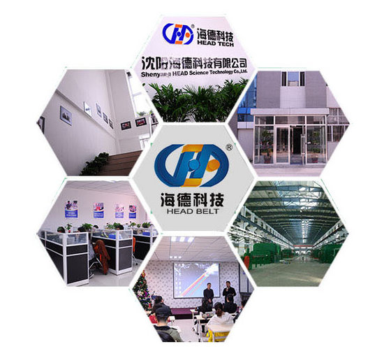 Shenyang Head Science & Technology Co.,Ltd
