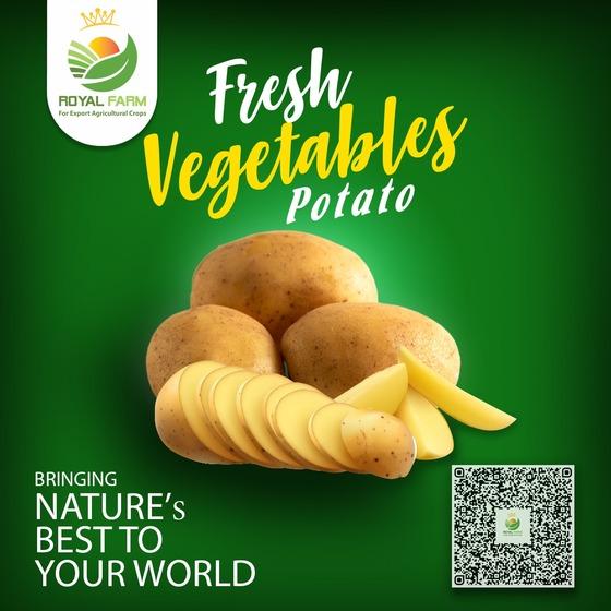 Royal Farm for Export Agricultural Crops