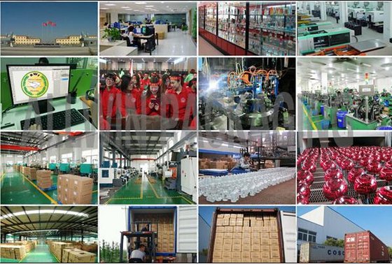 Shijiazhuang AllWin Stock Company