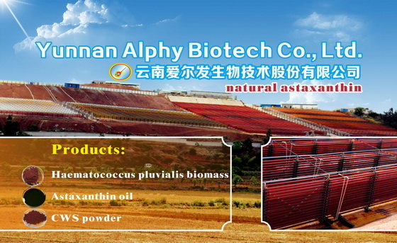Yunnan Alphy Biotech Co.,Ltd