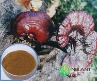 Reishi Mushroom Extract